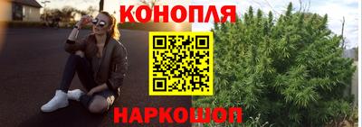 молекула духа Кингисепп