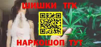 молекула духа Кингисепп