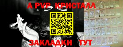 молекула духа Кингисепп