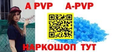 молекула духа Кингисепп