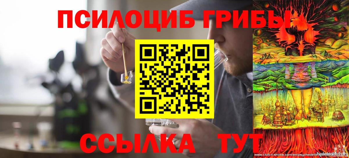 Куйбышев  Галлюциногенные грибы ЛСД  Вход с VPN 