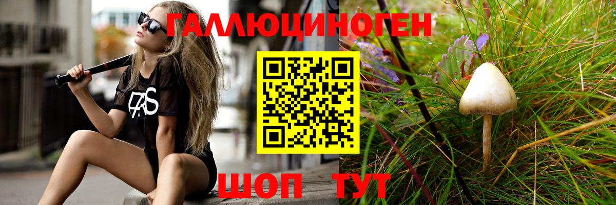 Псилоцибиновые грибы ЛСД Куйбышев